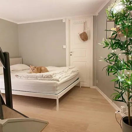 Dinbnb Homes I Cozy Cellar In Historical Cobblestone Street