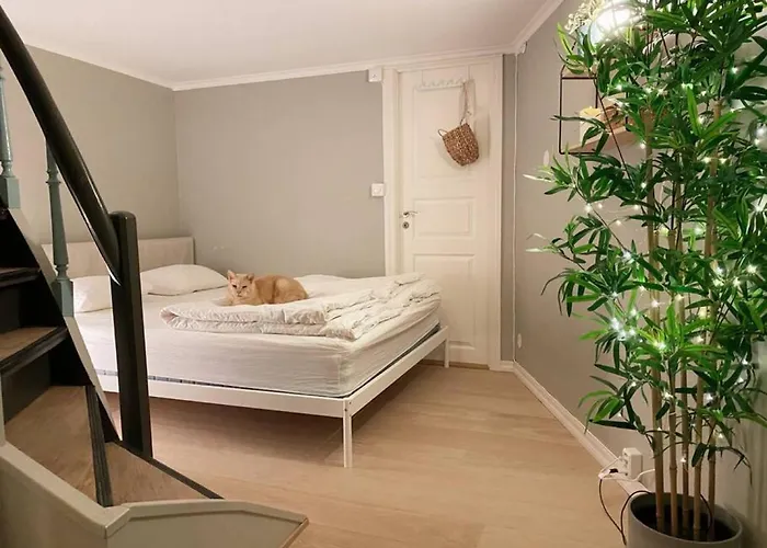 Dinbnb Homes I Cozy Cellar In Historical Cobblestone Street